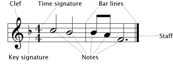 Staff & Solfa Notations